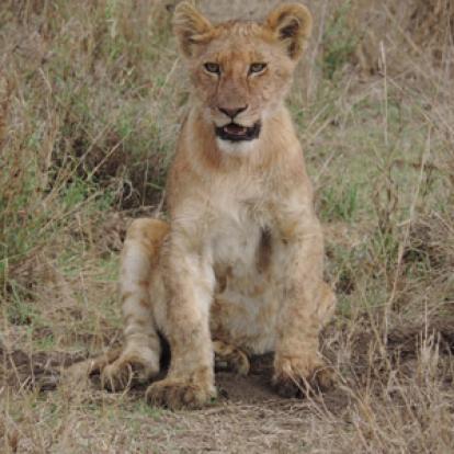 Voyage en Colombie de Jocelyne