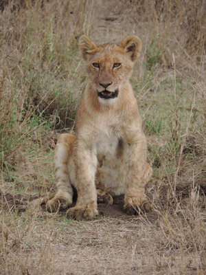 Voyage en Colombie de Jocelyne