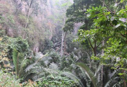 Voyage en Thailande de Patricia