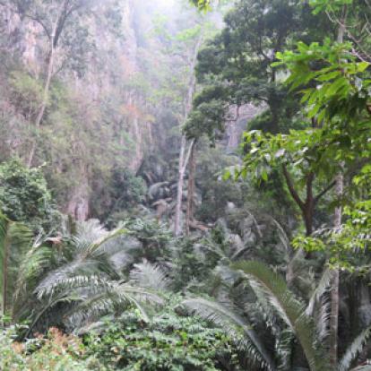 Voyage en Thailande de Patricia