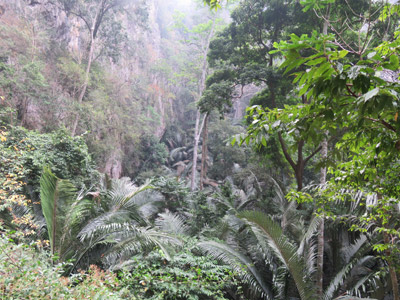 Voyage en Thailande de Patricia