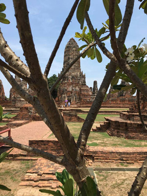 Voyage en Thailande de Laetitia