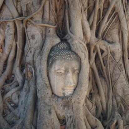 Voyage en Thailande d'Amélie et Patrick