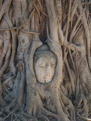 Voyage en Thailande d'Amélie et Patrick