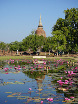 Voyage en Thailande d'Amélie et Patrick