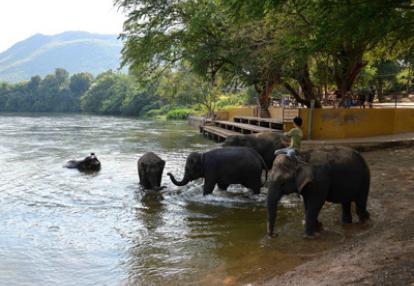 Voyage en Thailande de Danilo & Joeller