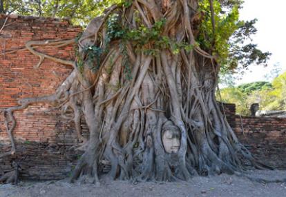 Voyage en Thailande de Danilo & Joeller