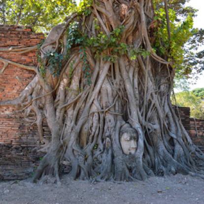 Voyage en Thailande de Danilo & Joeller