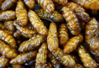 ©Maryvonne et Michel P. - Tous Droits réservés