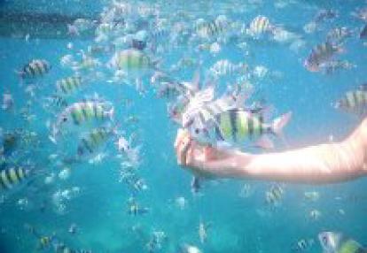 Voyage en Thailande de la famille d'Anthony