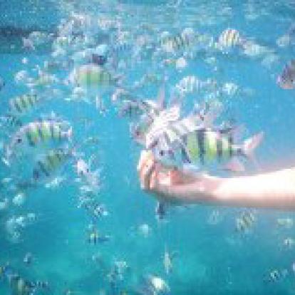 Voyage en Thailande de la famille d'Anthony