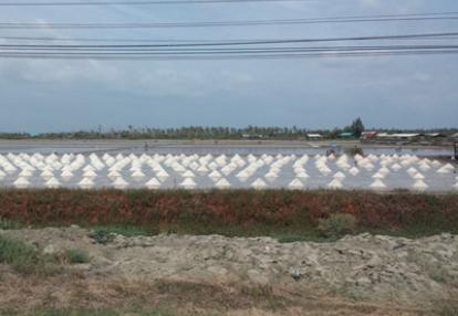 Voyage en Thailande de la famille de Sabrina