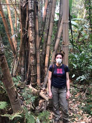 Voyage en Thailande de Sybill et Rino