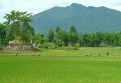 ©Corinne Gaudelle - Tous Droits réservés