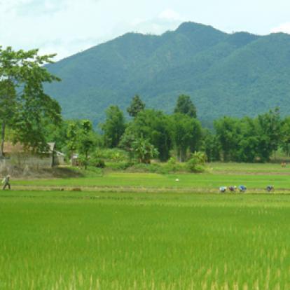©Corinne Gaudelle - Tous Droits réservés