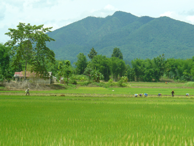 ©Corinne Gaudelle - Tous Droits réservés