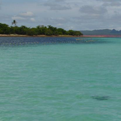 ©Corinne Gaudelle - Tous Droits réservés