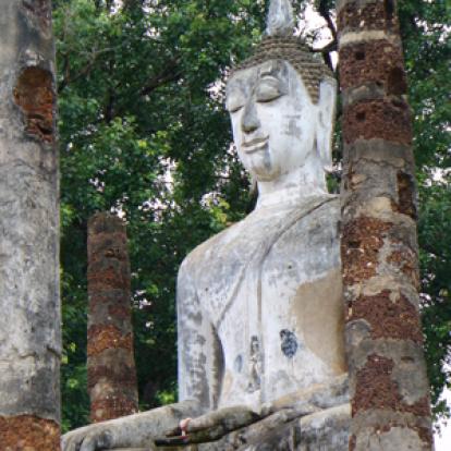 ©Corinne Gaudelle - Tous Droits réservés