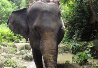 ©Séverine L. - Tous Droits réservés