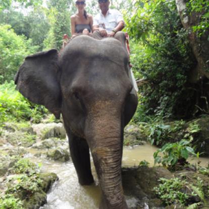©Séverine L. - Tous Droits réservés
