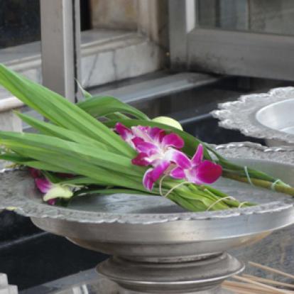 ©Séverine L. - Tous Droits réservés