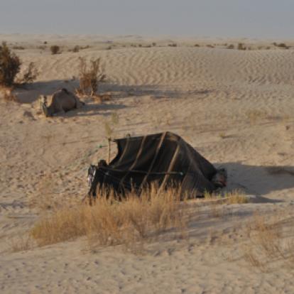 Voyage en Tunisie de Paola