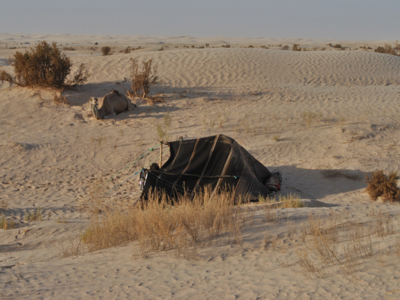 Voyage en Tunisie de Paola
