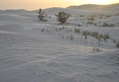 Voyage en Tunisie de Paola