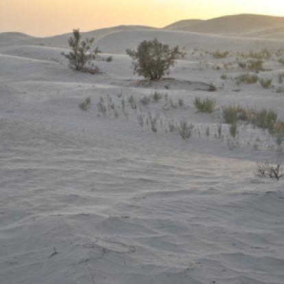 Voyage en Tunisie de Paola