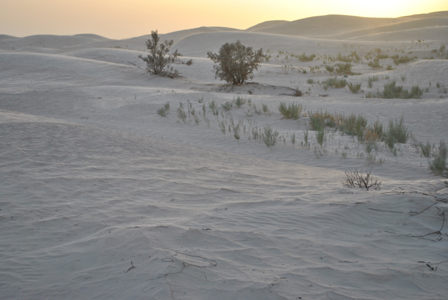 Voyage en Tunisie de Paola