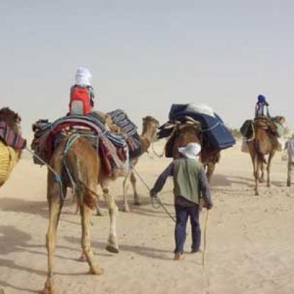 ©Marie-France M. - Tous Droits Réservés Voyage en Tunisie de Marie-France