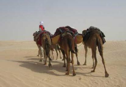 Voyage en Tunisie de Marie-France