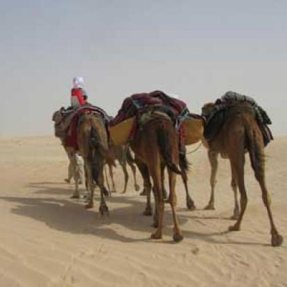 ©Marie-France M. - Tous Droits Réservés Voyage en Tunisie de Marie-France