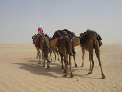 ©Marie-France M. - Tous Droits réservés Voyage en Tunisie de Marie-France