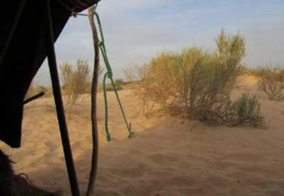 Voyage en Tunisie de Marie-France