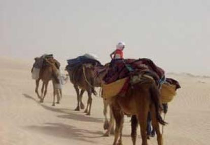 Voyage en Tunisie de Marie-France