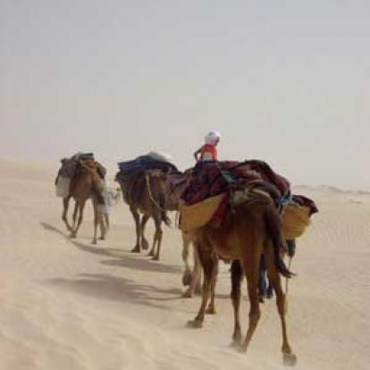 ©Marie-France M. - Tous Droits Réservés Voyage en Tunisie de Marie-France