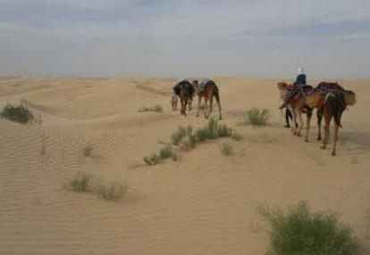 Voyage en Tunisie de Marie-France