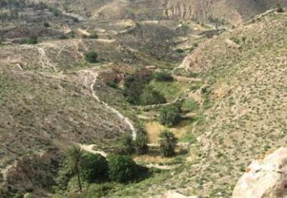 Voyage en Tunisie de Marie-France