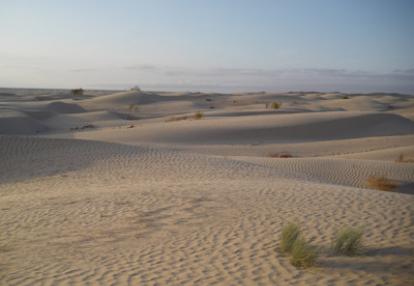 Voyage en Tunisie du Groupe d'Edith