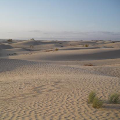 Voyage en Tunisie du Groupe d'Edith