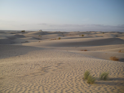 Voyage en Tunisie du Groupe d'Edith