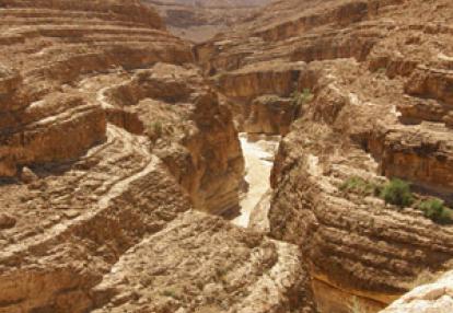 Voyage en Tunisie du Groupe d'Edith
