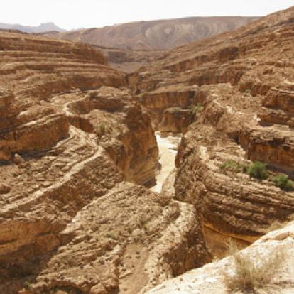 Voyage en Tunisie du Groupe d'Edith