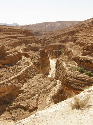 Voyage en Tunisie du Groupe d'Edith