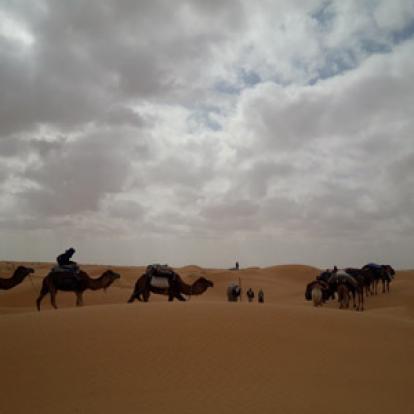 ©Manon DC. - Tous Droits Réservés Voyage en Tunisie du Groupe de Manon