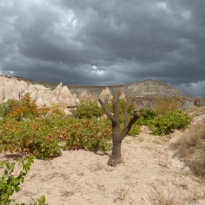 Voyage en Turquie de Françoise