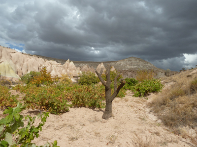 Voyage en Turquie de Françoise