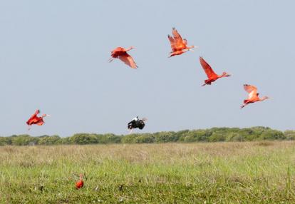 Voyage au Venezuela de Marie Claude et Ange
