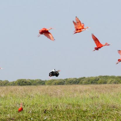 Voyage au Venezuela de Marie Claude et Ange